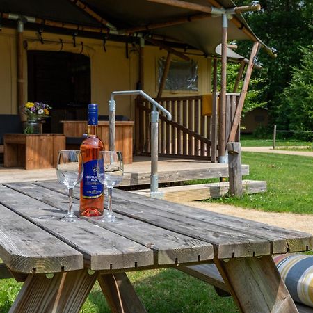 Buitenplaats Gerner Dalfsen Exteriér fotografie