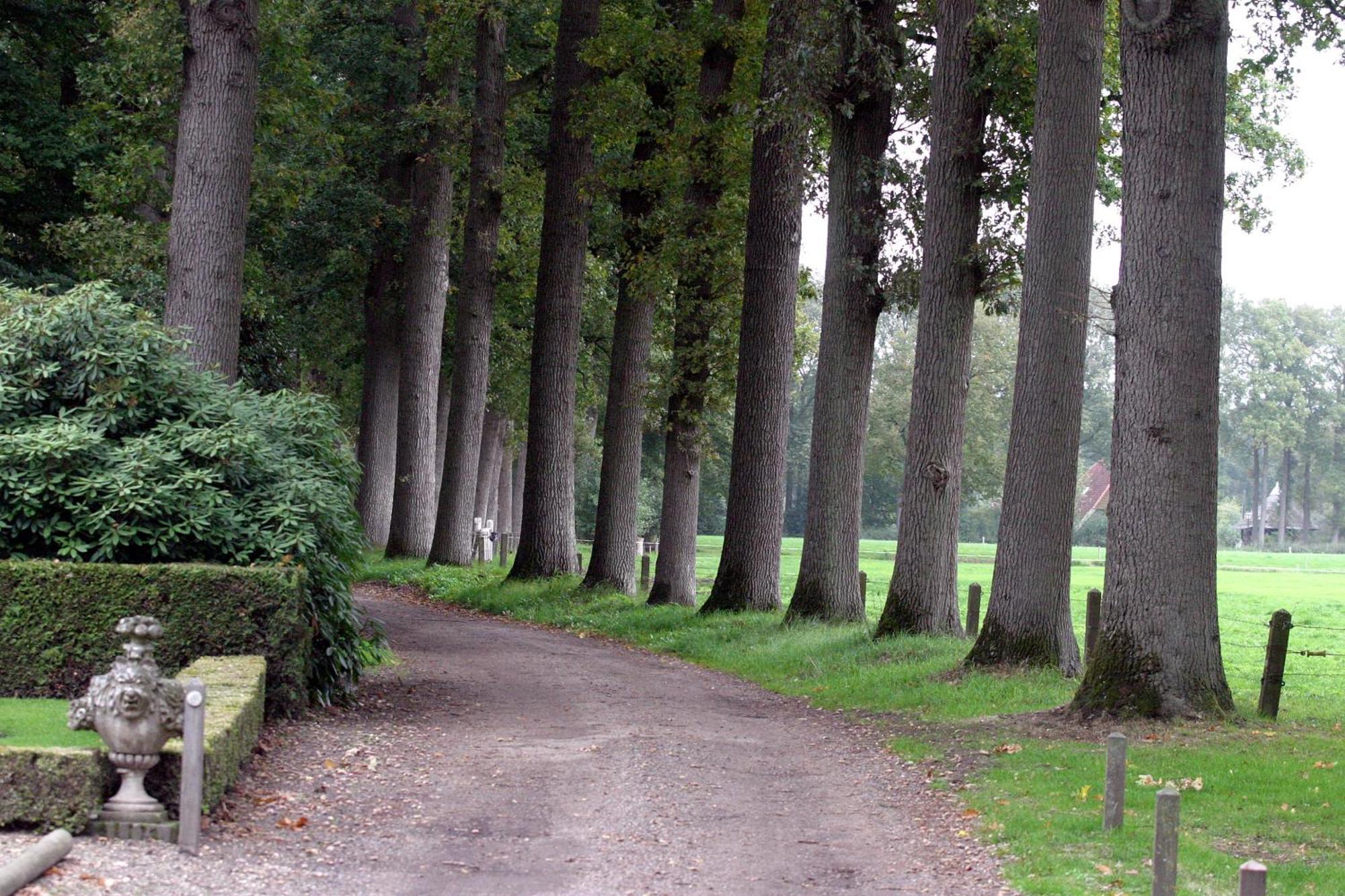 Buitenplaats Gerner Dalfsen Exteriér fotografie