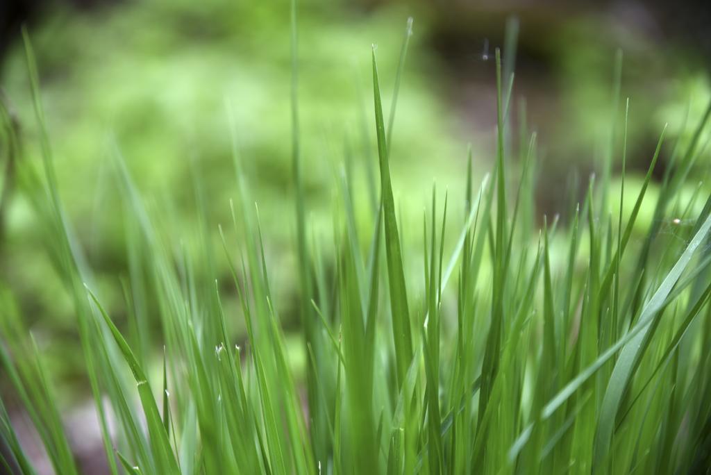 Buitenplaats Gerner Dalfsen Exteriér fotografie